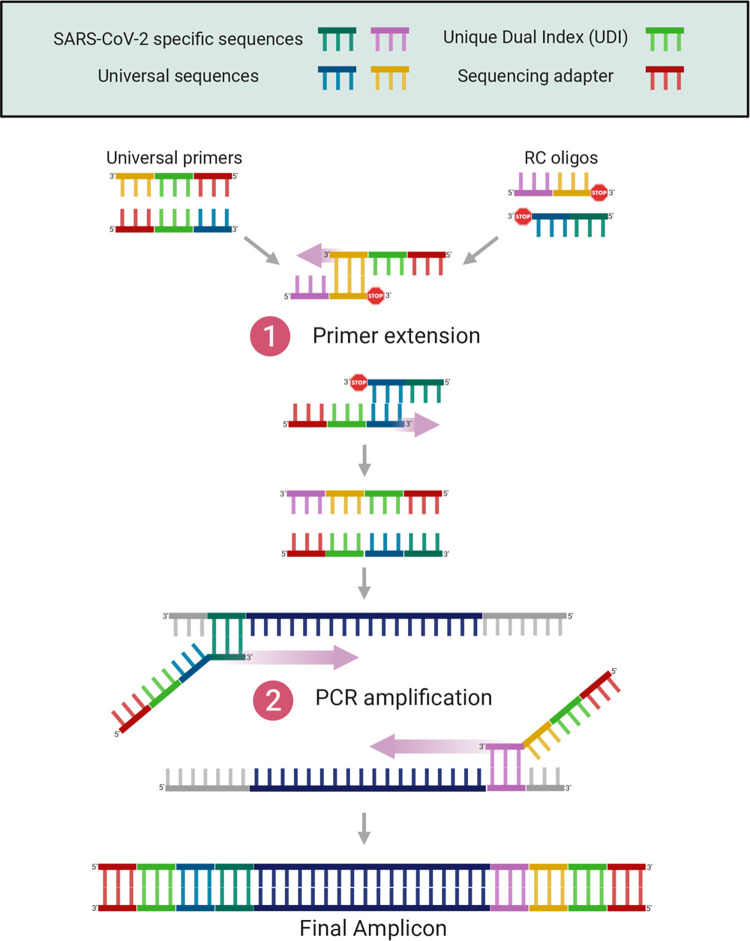 Fig 10