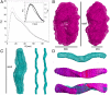 Fig. 4.