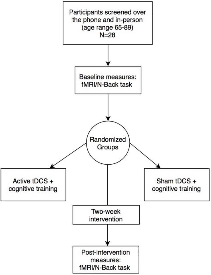 FIGURE 1