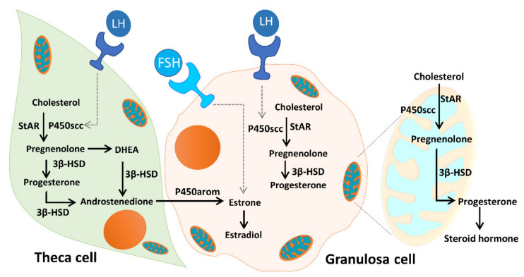 Figure 12