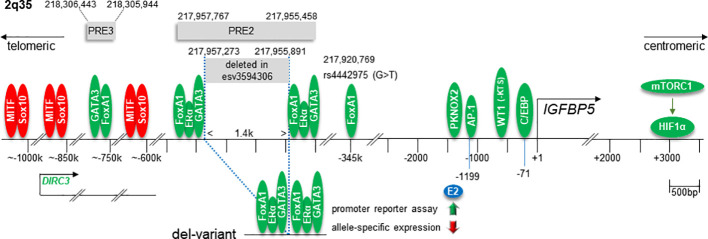 Figure 5