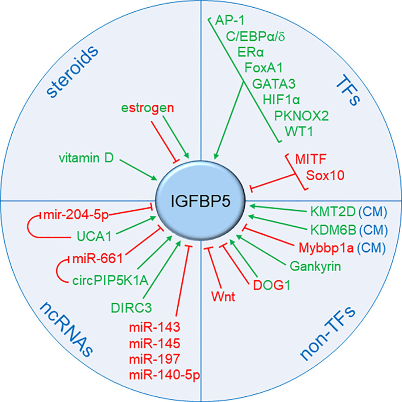 Figure 4