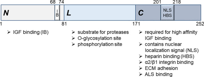 Figure 1