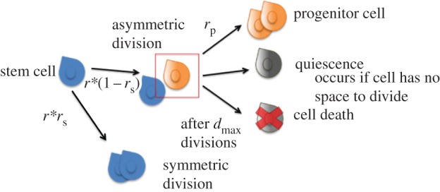 Figure 2.