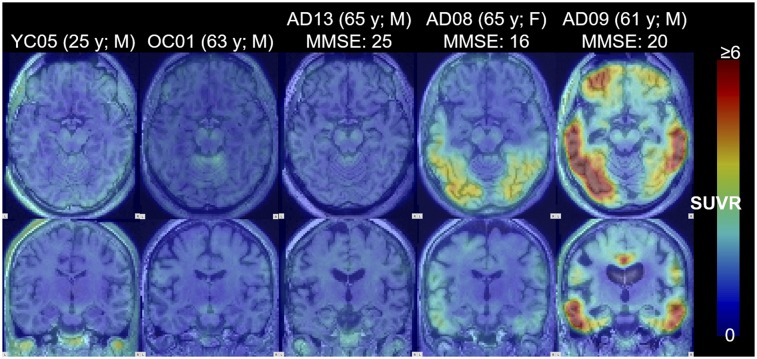 FIGURE 2.