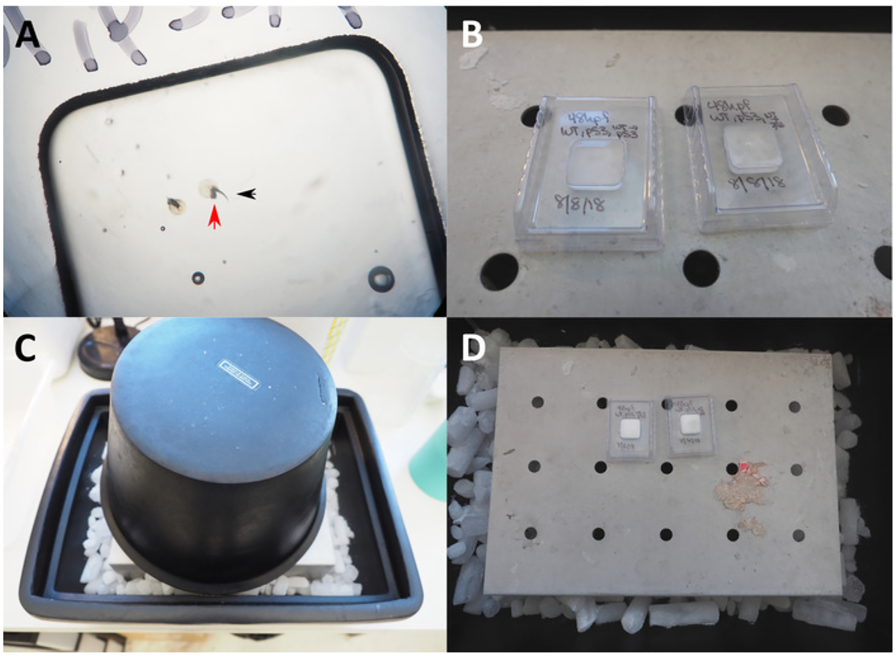 Figure 1: