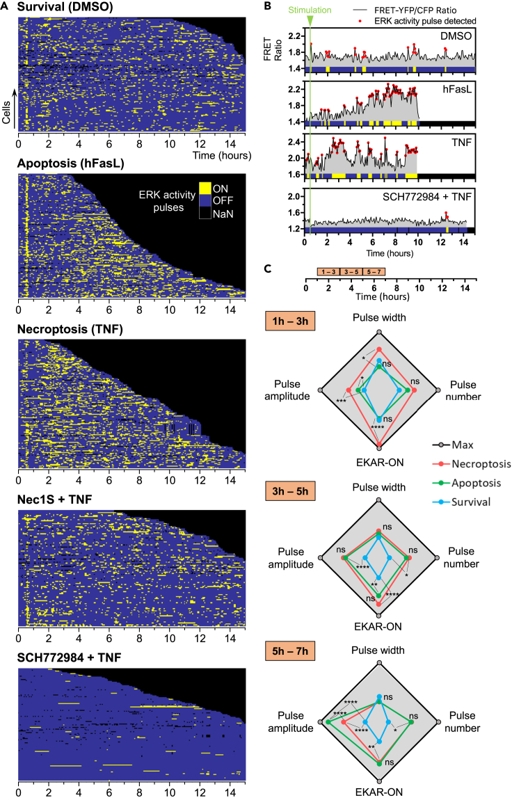 Figure 5