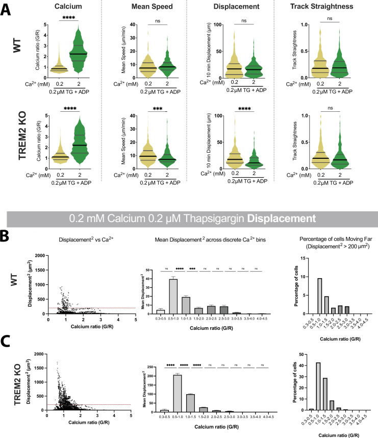 Figure 6—figure supplement 2.