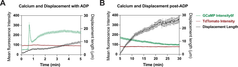 Figure 6—figure supplement 1.