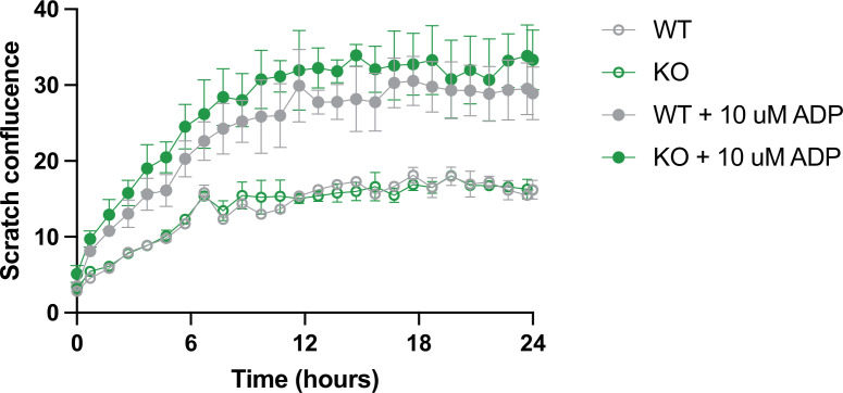 Figure 7—figure supplement 1.