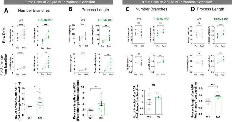 Figure 5—figure supplement 2.