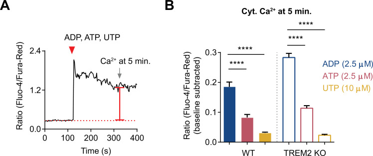 Figure 1—figure supplement 2.