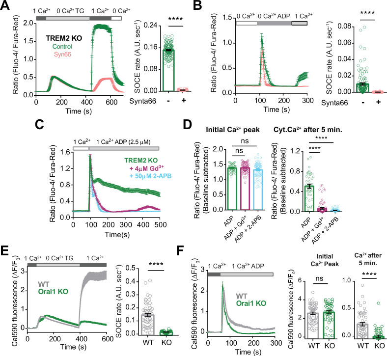 Figure 3—figure supplement 1.