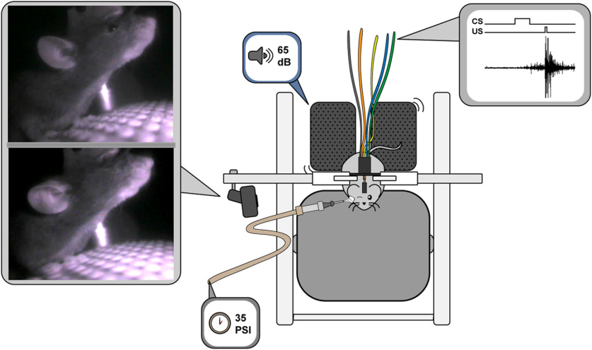 Figure 2.