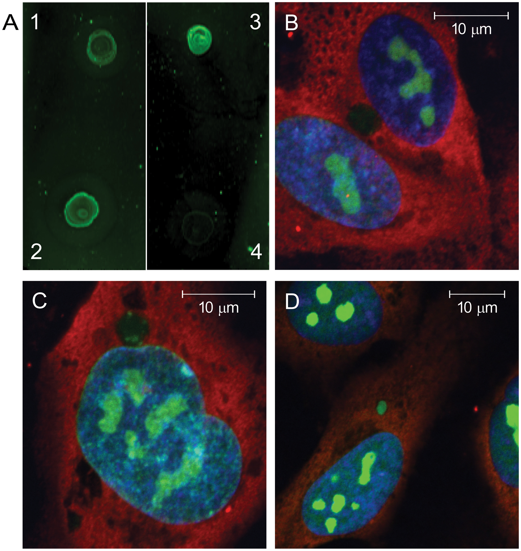 Figure 3: