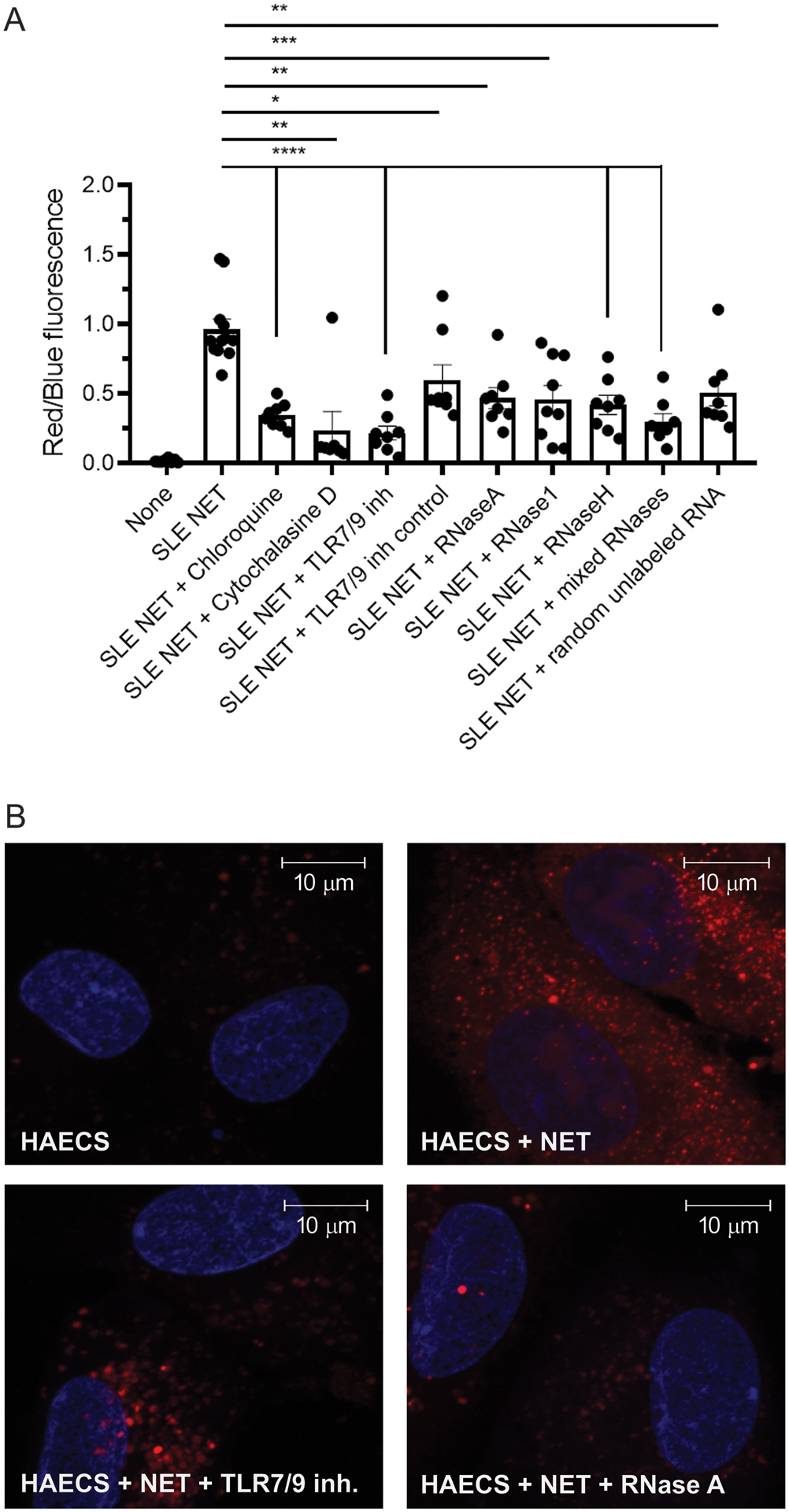 Figure 4: