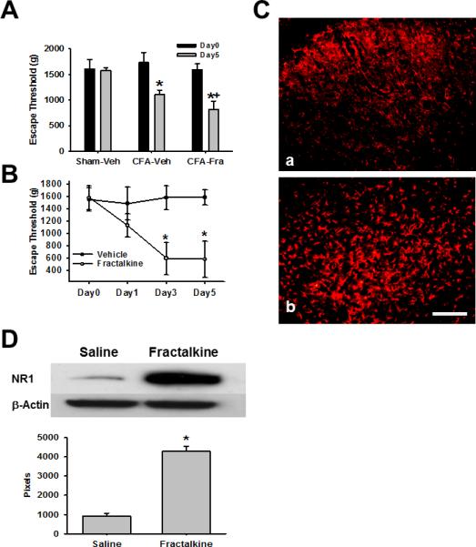 Fig.4