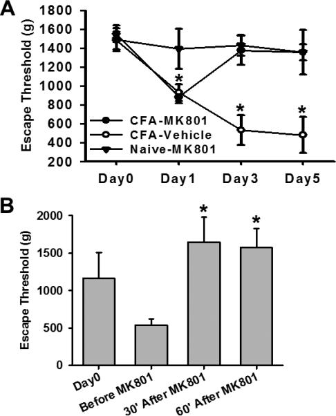 Fig.6