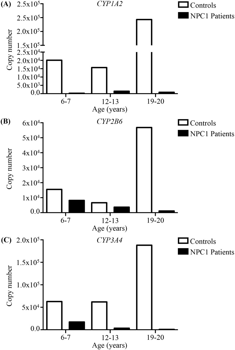 Fig 10