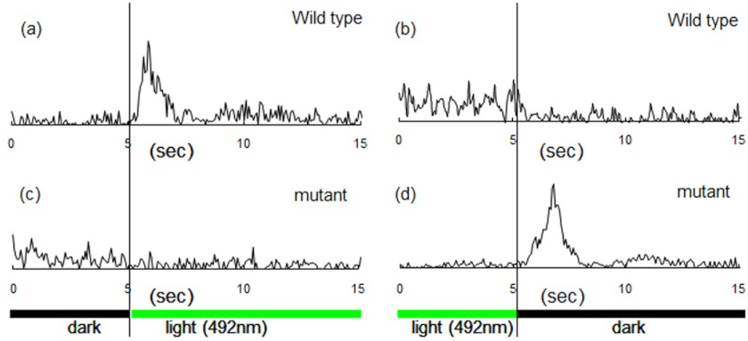 FIGURE 7.