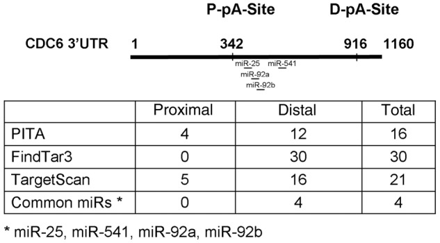 graphic file with name gks855t1.jpg