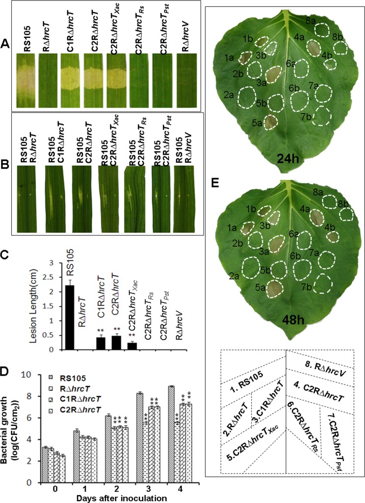 FIG 6