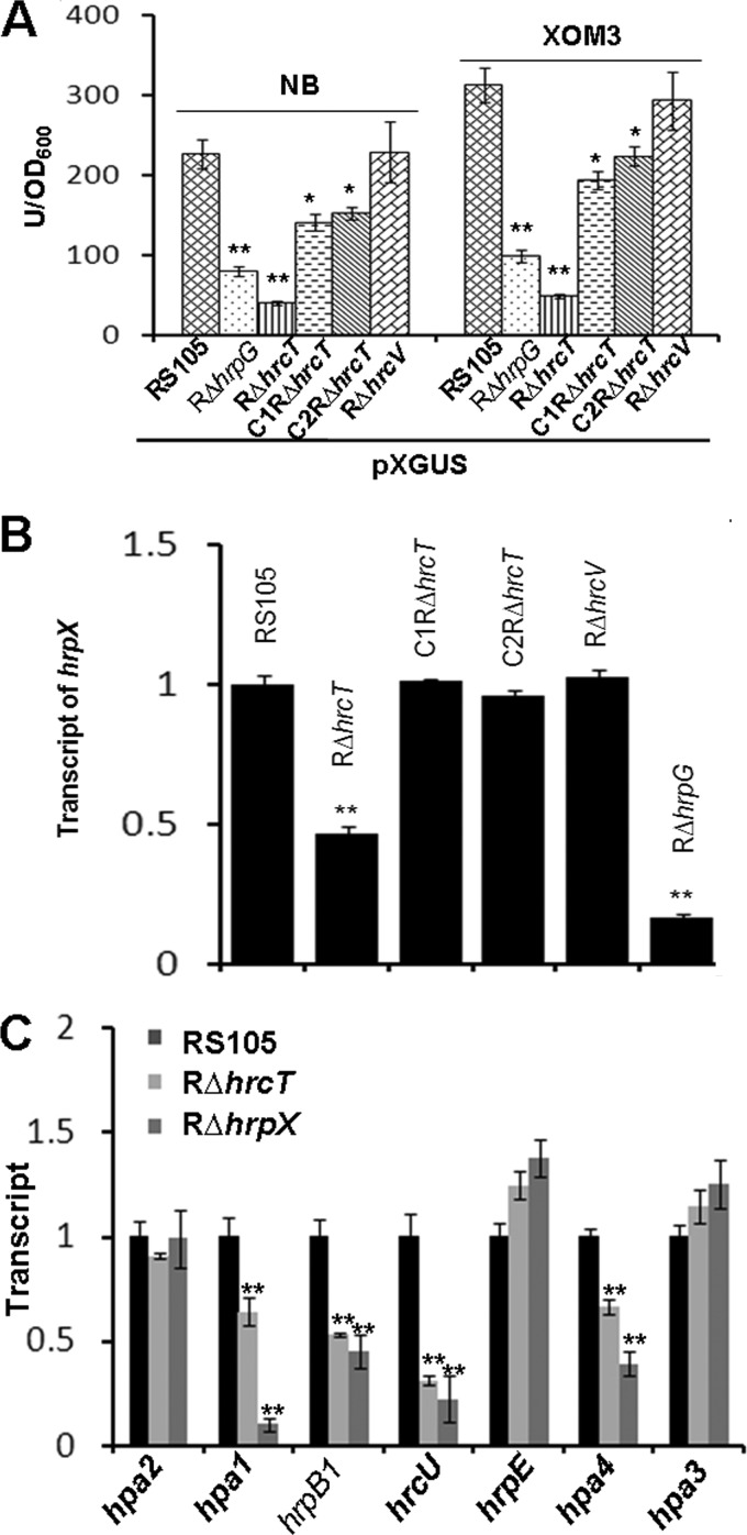 FIG 4