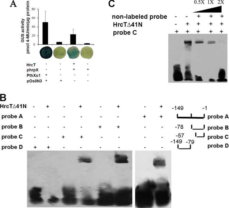 FIG 5