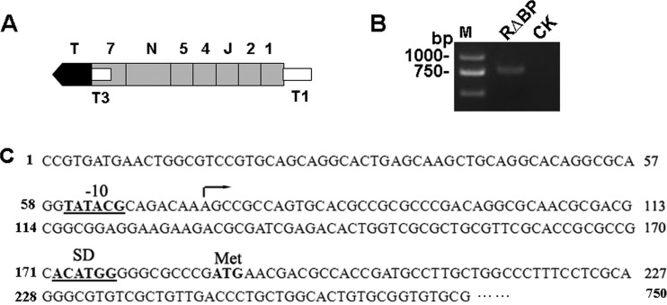 FIG 2