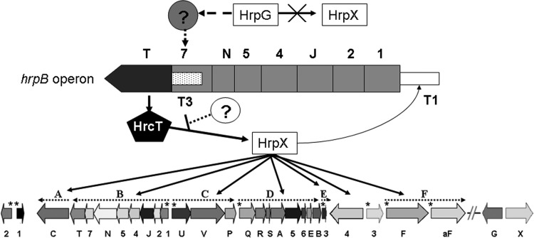 FIG 8