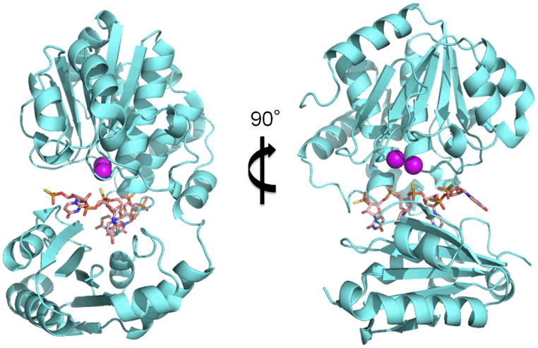 Fig. 4