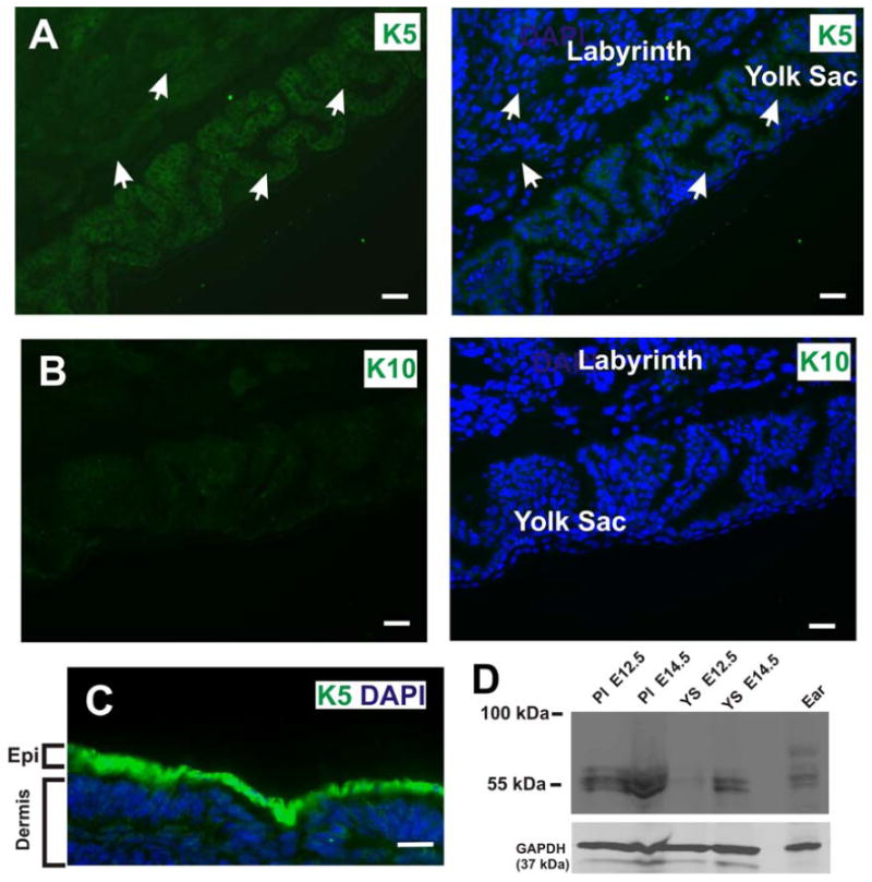 Figure 11