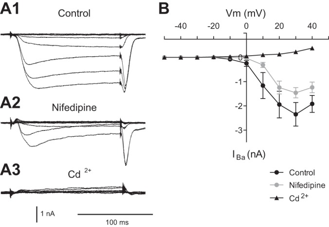 Fig. 3.