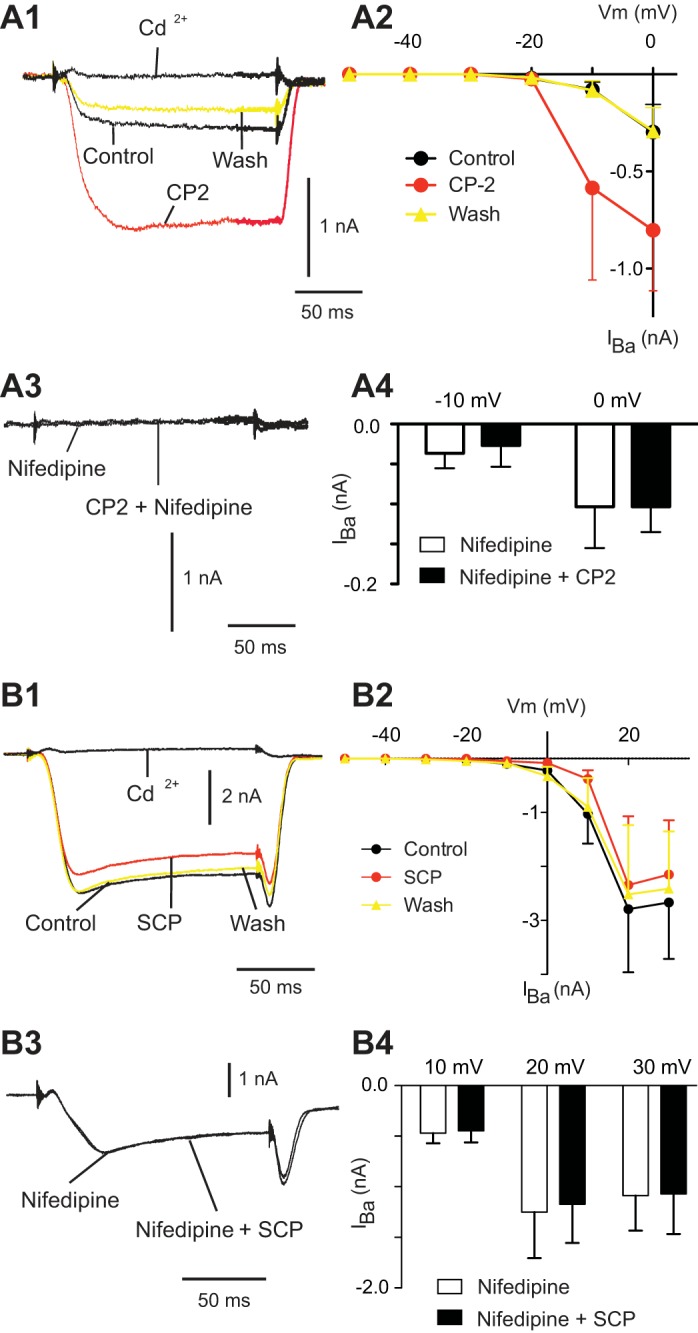 Fig. 4.