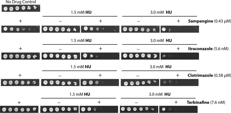 FIG 1