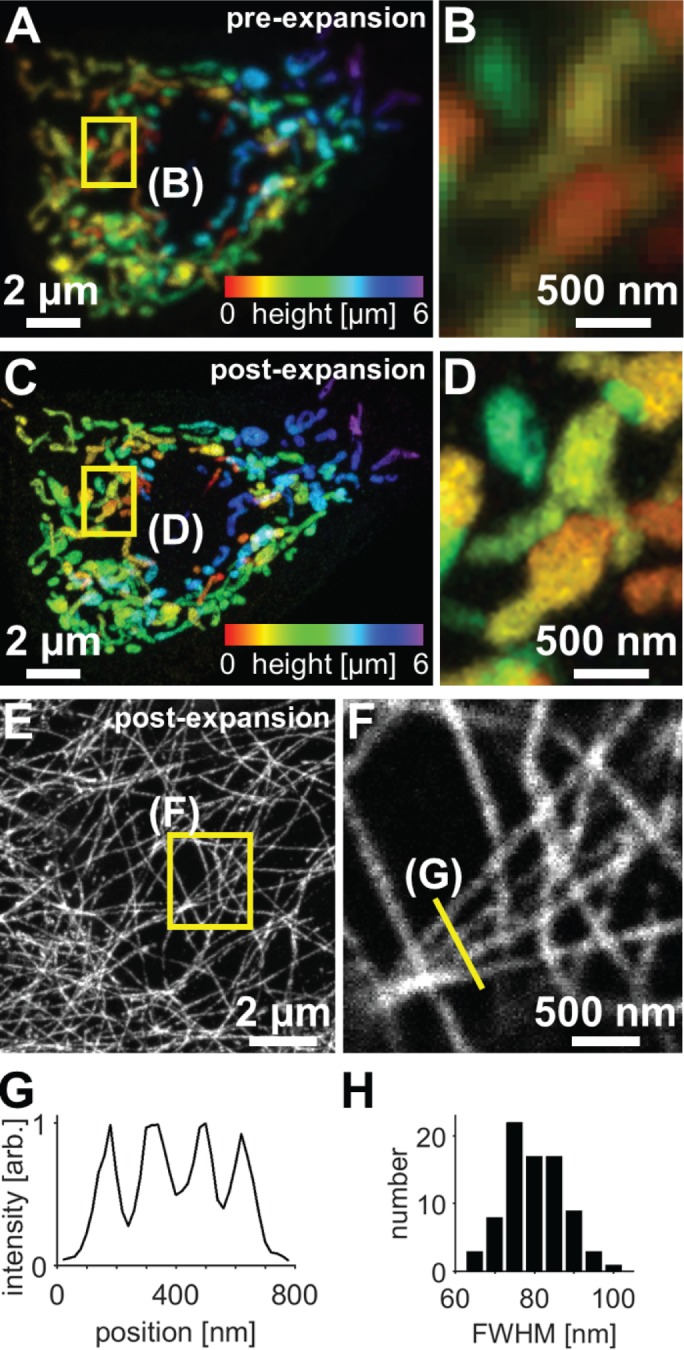 FIGURE 2: