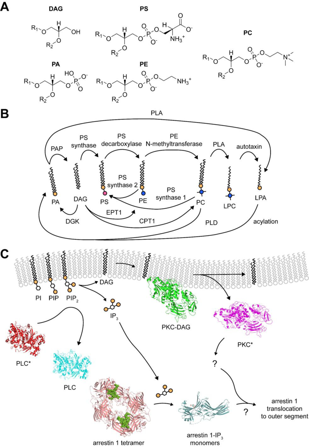 Figure 3.