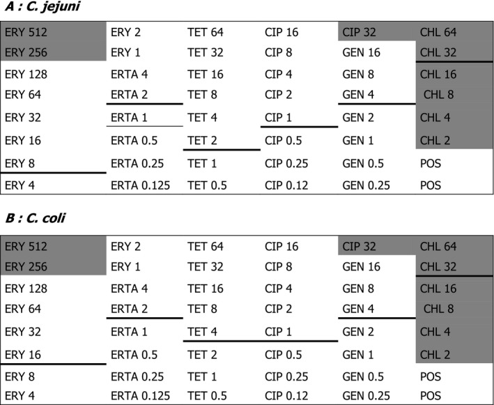 Figure P.1