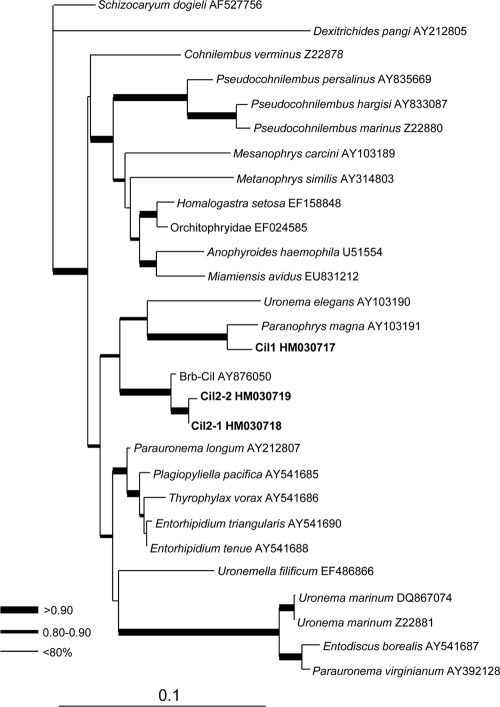 FIG. 2.