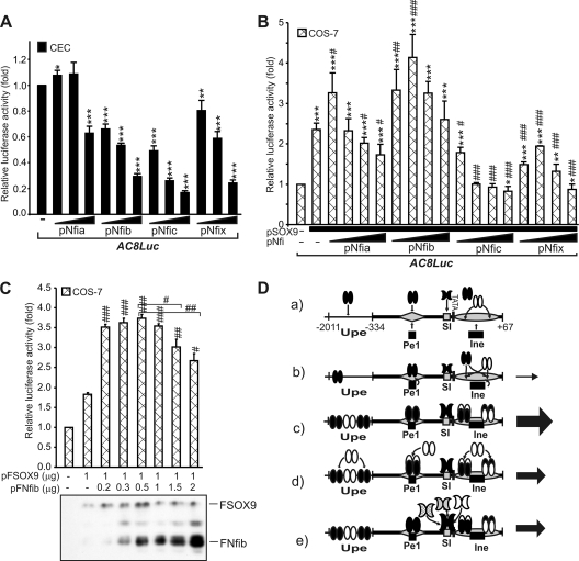 FIG. 10.