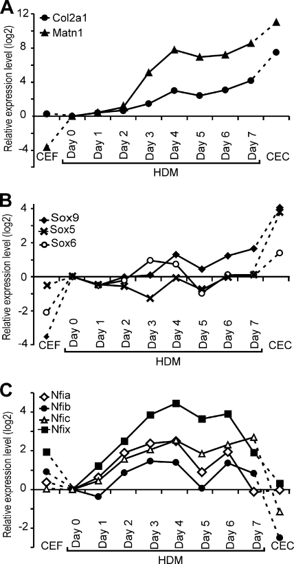 FIG. 8.