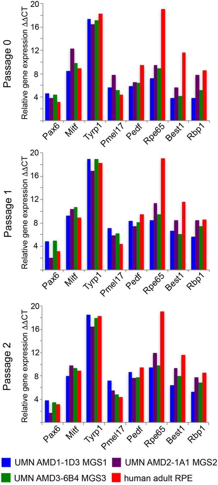 Fig 3