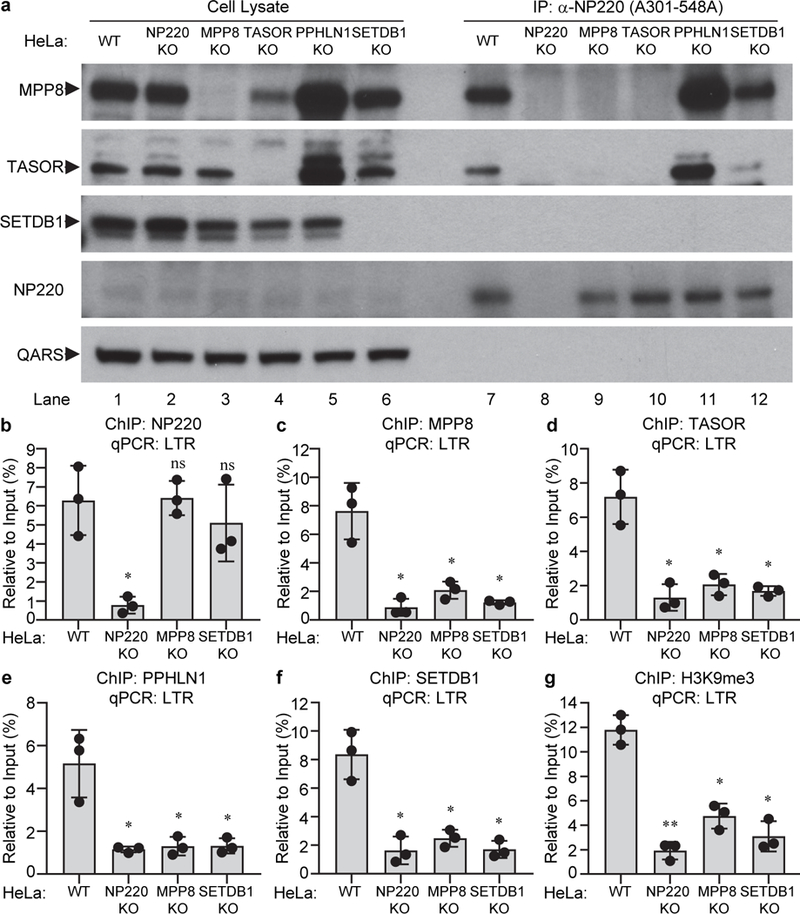 Fig. 3: