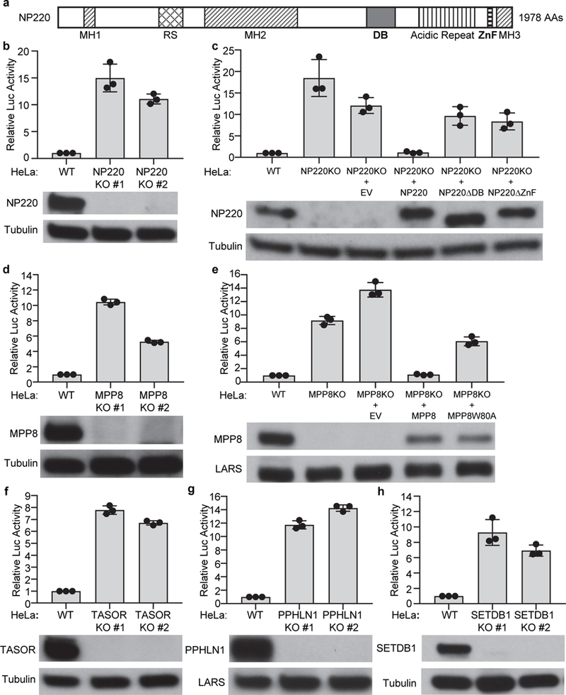 Fig. 2: