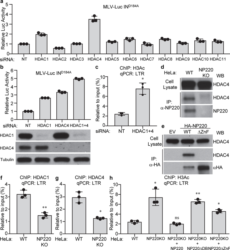 Fig. 4: