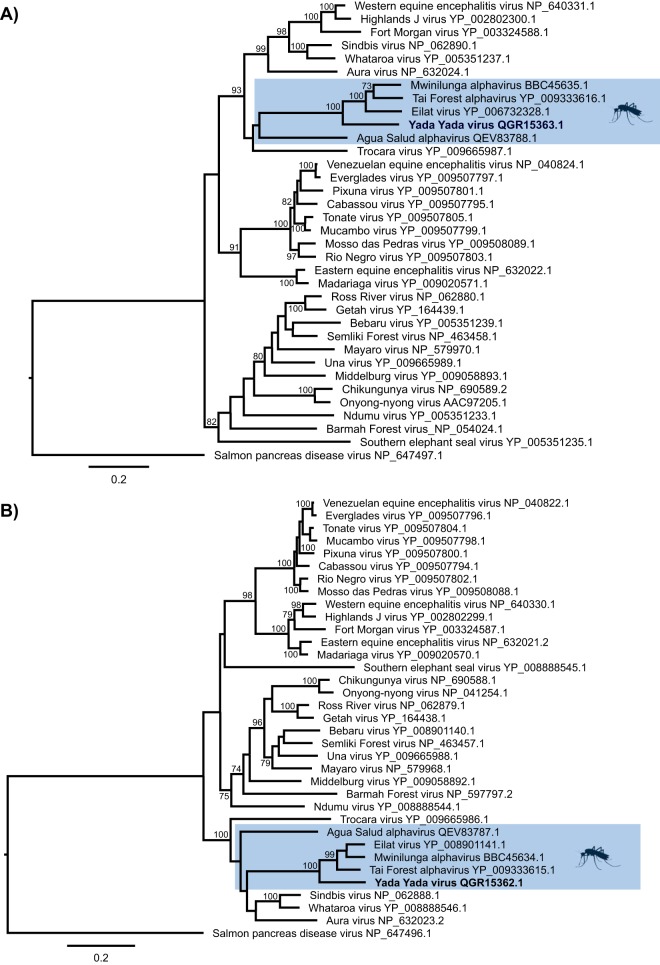 FIG 1