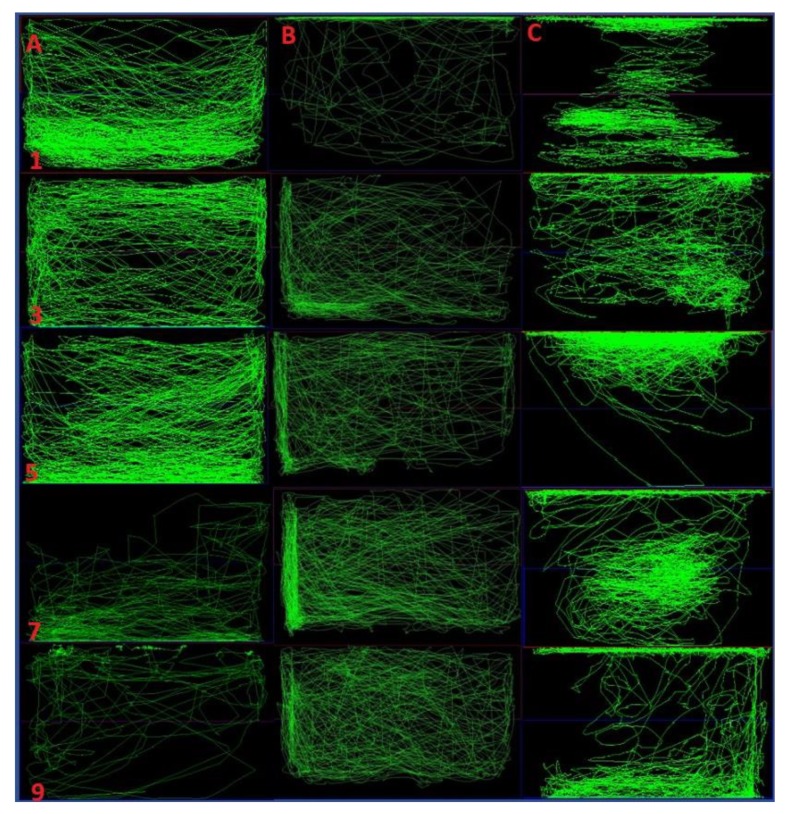 Figure 5