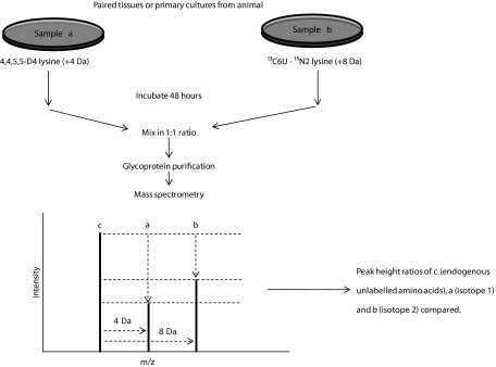 FIG. 1.