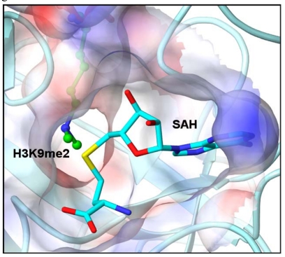 Fig. (1)