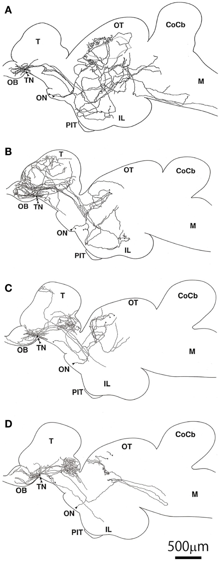 Figure 5